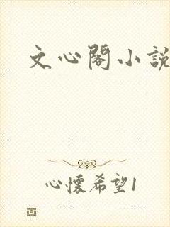文心阁小说