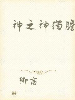 神之神独胆王