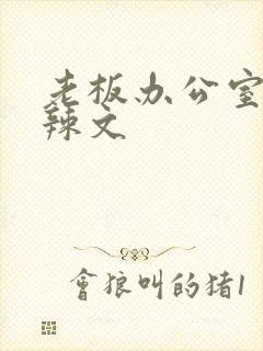 老板办公室系列辣文