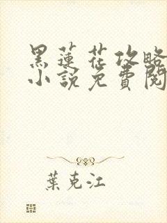 黑莲花攻略手册小说免费阅读