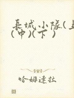 长城小队(上)(中)(下 )