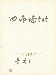 四面墙txt