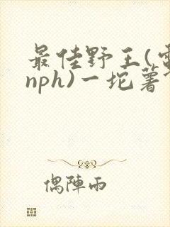 最佳野王(电竞nph)一坨薯饼