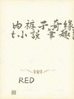 内裤子奇缘txt小说 笔趣阁