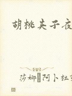 胡桃夹子夜未眠