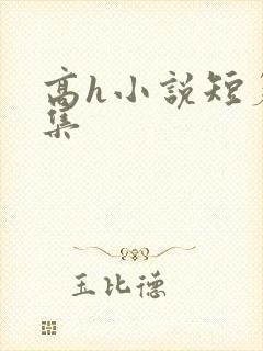 高h小说短篇合集