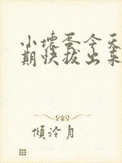 小坏蛋今天危险期快拔出来