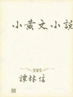 小黄文小说