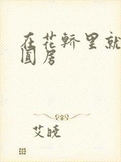 在花轿里就开始圆房