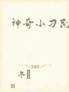 神奇小刁民