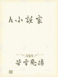 h小说家