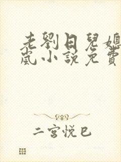 老刘日儿媳妇张岚小说免费阅读