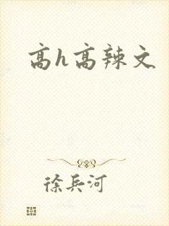 高h高辣文