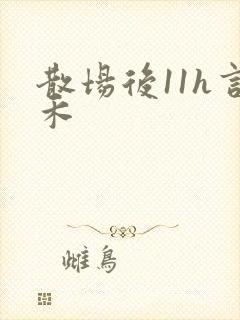 散场后11h言禾