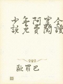 少年阿宾全文小说免费阅读笔趣阁