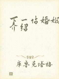 下一站婚姻剧情介绍