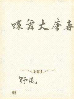 蝶舞大唐春