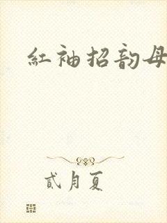 红袖招韵母攻略