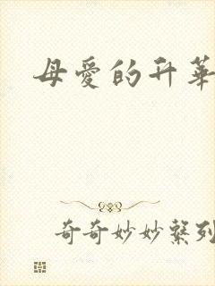母爱的升华