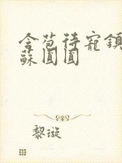 含苞待宠镇国公苏圆圆