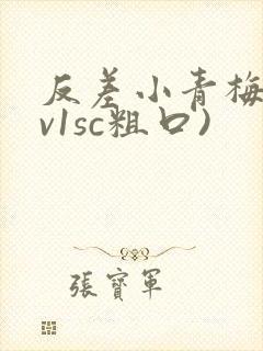 反差小青梅(1v1sc粗口)