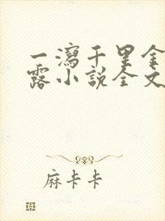 一泻千里金银花露小说全文免费阅读