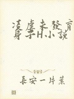 凌虐未发育的小身子H小说