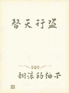 替天行盗