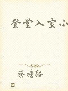 登堂入室小说