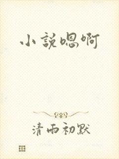 小说嗯啊