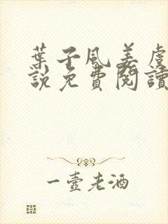 叶子风姜虞雪小说免费阅读