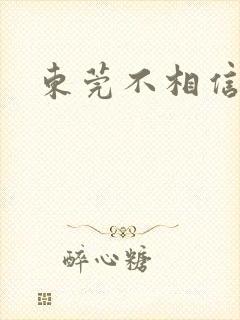 东莞不相信眼泪