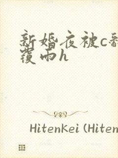 新婚夜被c翻云覆雨h