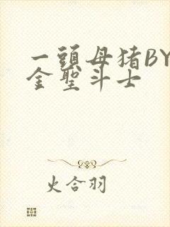 一头母猪BY黄金圣斗士