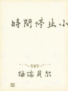 时间停止小说