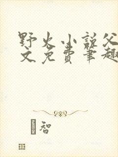 野火小说父女全文免费笔趣阁