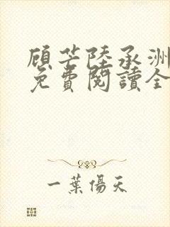 顾芒陆承洲小说免费阅读全文免费阅读下载