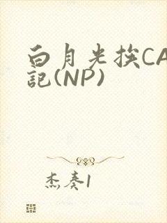 白月光挨CAO记(NP)