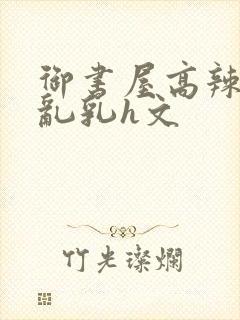 御书屋高辣h文乱乳h文