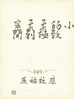 宁柔柔的小泬撑开到极致