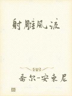 射雕风流
