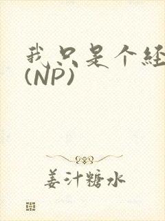 我只是个经纪人(NP)