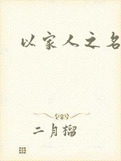 以家人之名小说