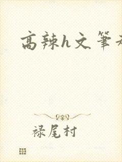 高辣h文笔趣阁
