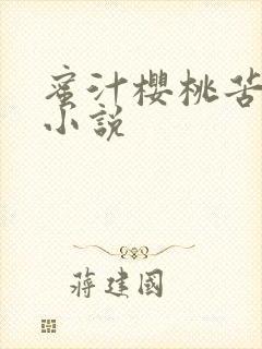 蜜汁樱桃苦咖啡小说