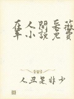 在人间采薇陆三平小说免费阅读