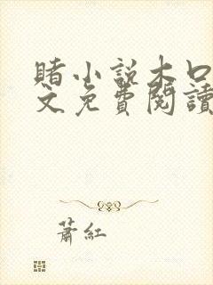 赌小说木口银全文免费阅读笔趣阁