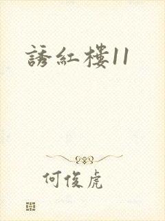 诱红楼11
