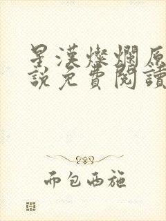 星汉灿烂原著小说免费阅读