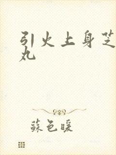 引火上身芝麻糖丸